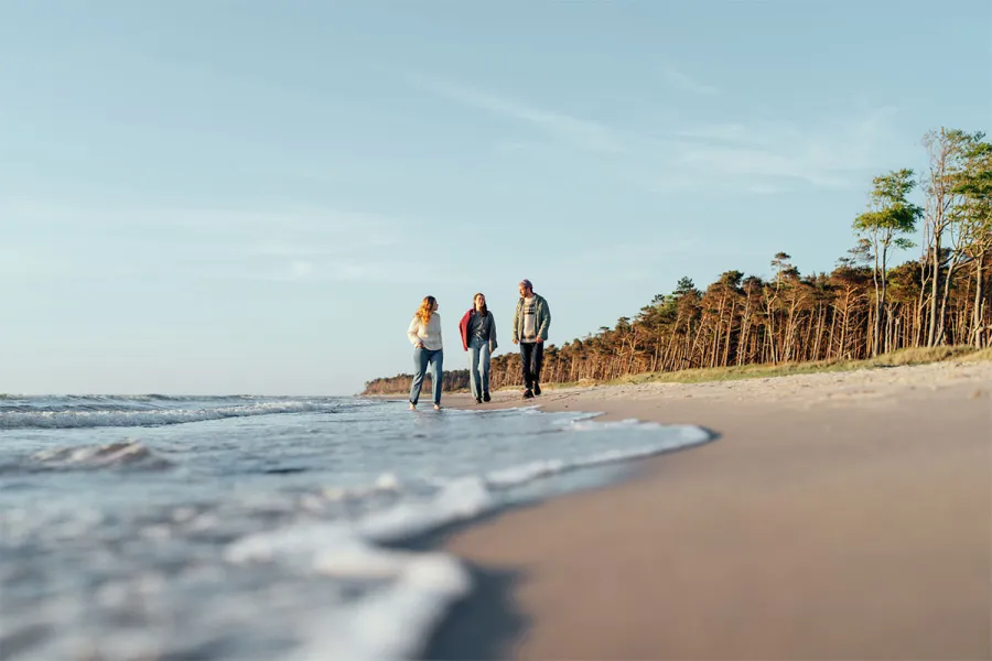 Drei Personen spazieren im Frühling am Weststrand des Darß entlang der Ostsee mit Kiefernwald im Hintergrund.